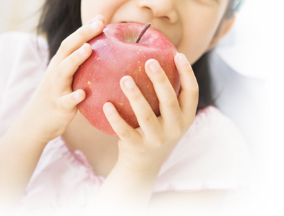絵本・アルバムSmile Photobookエディターが利用できない場合は…